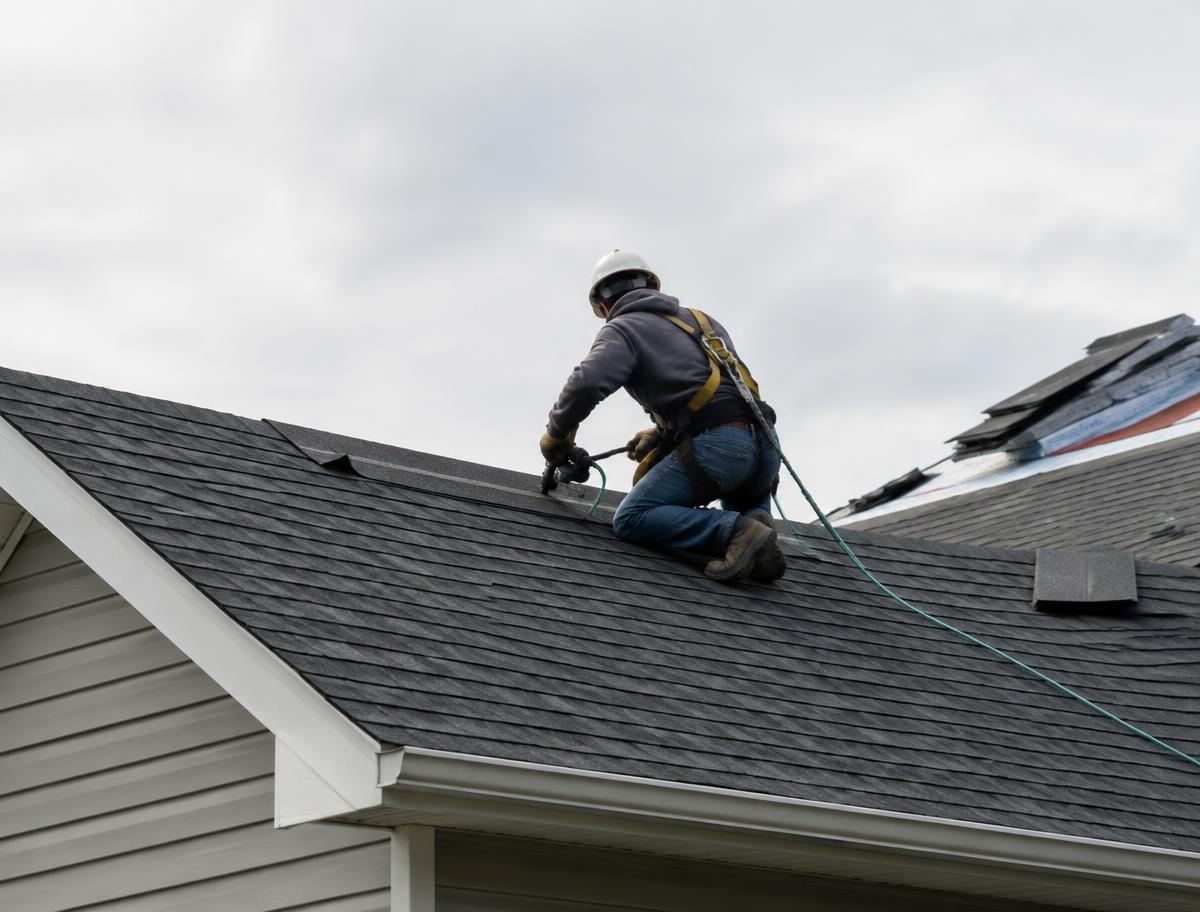 Roofer in a safety harness fastening new asphalt shingles on a home